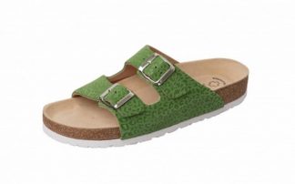 Bio Pantol. Art. 41110-75